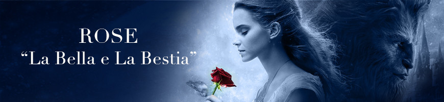 Rosa La Bella e La Bestia - regalo originale - aluisifiori.it