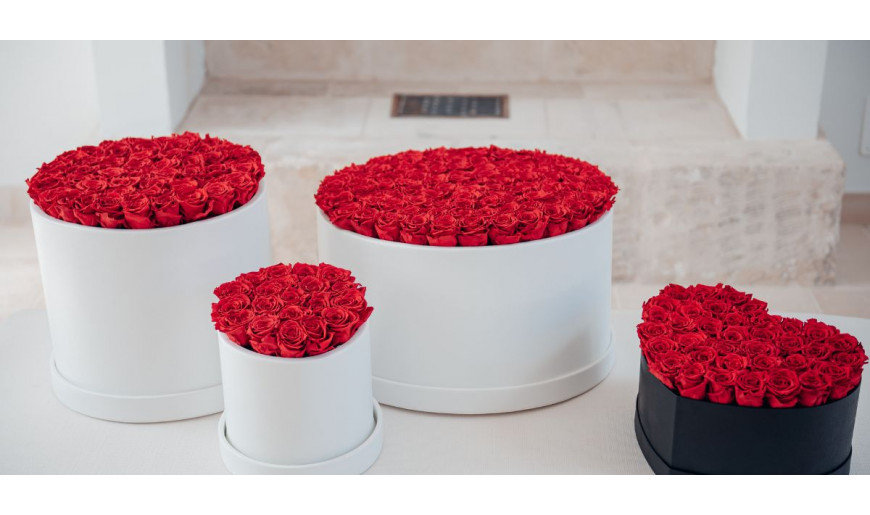 1000 rose rosse, autentica follia d'amore