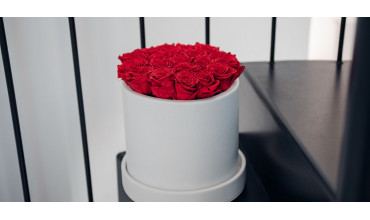 Regala 25 rose rosse per esprimere tutto il tuo amore