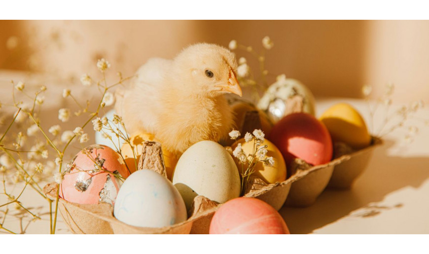 Idee Regalo per la Pasqua: emoziona con i fiori stabilizzati